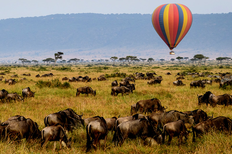 serengeti-naked-wilderness